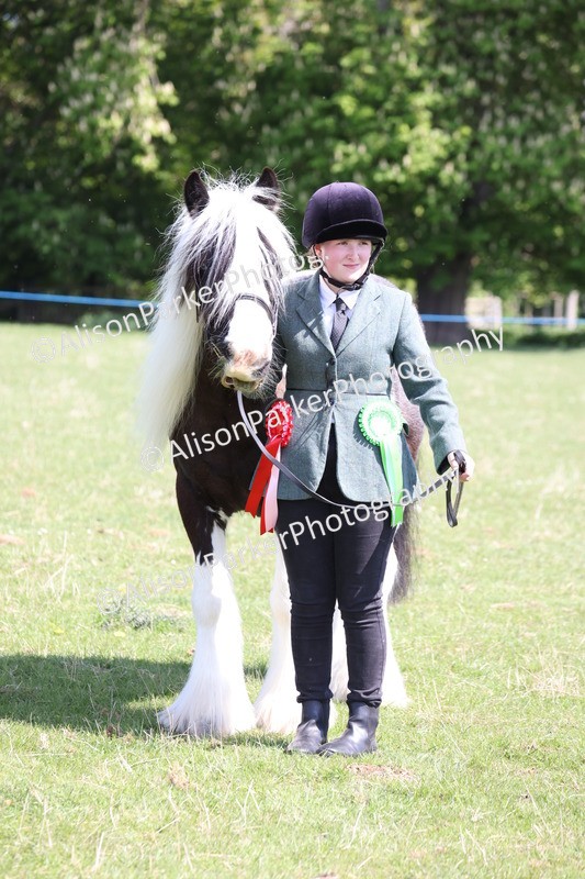 20250427-3014 - Class 27 - Coloured Horse and Pony