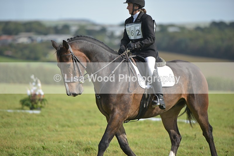 RAY_7924 - Class 2B: Trekenning Open: Dressage