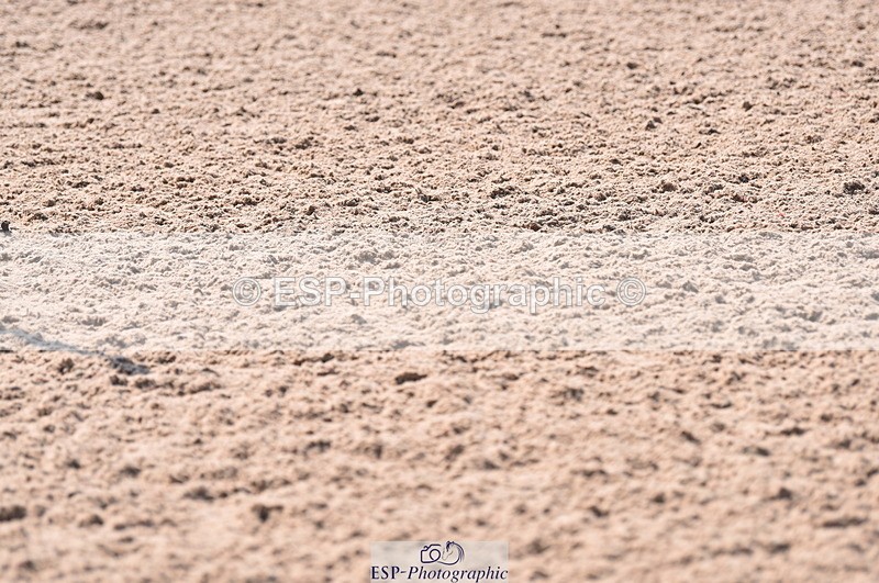 230609A-100537-00262 - Cls 8 British Novice & 90cm Open