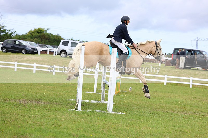 3E7A7637 - Class 13: Senior British Novice/90cm open