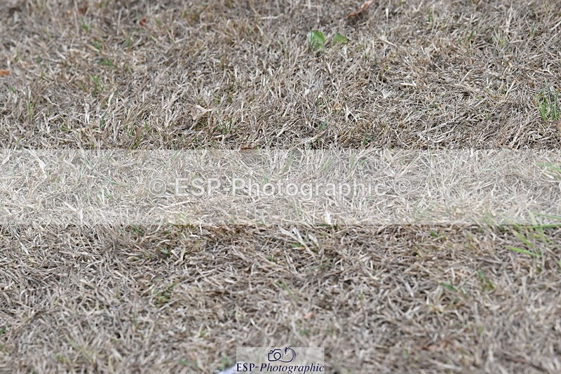 250820A-173844-12140 - Wednesday Presentations