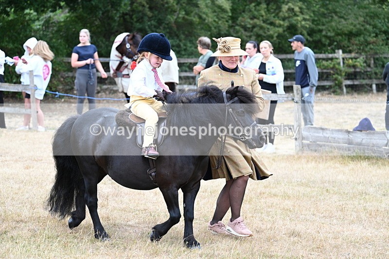 WJ7_8500 - Class 4 Prettiest Mare up to 14.2hh