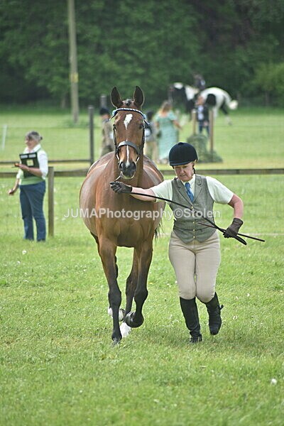 DSC_8310 - Rings 1 & 2