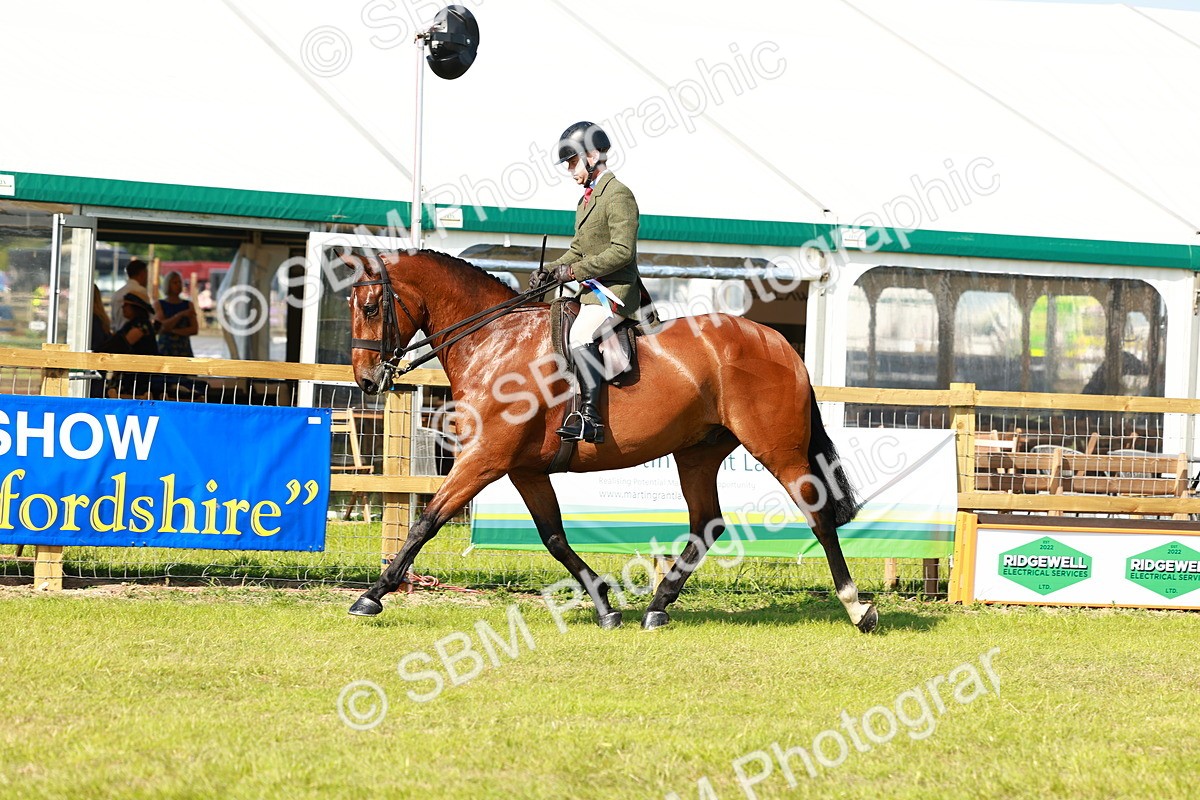 SBM_11995 - Class 66-69 - RIHS Ridden Hunters Inc Small Hunter