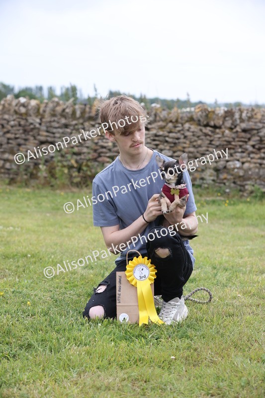 20250607-0230 - Class 4 - Little and Large