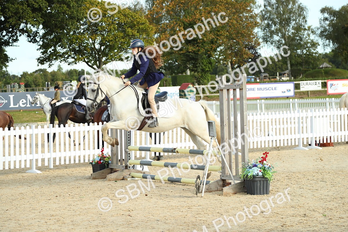 SBM_53547 - J8 - Junior Pony 65cm Championship