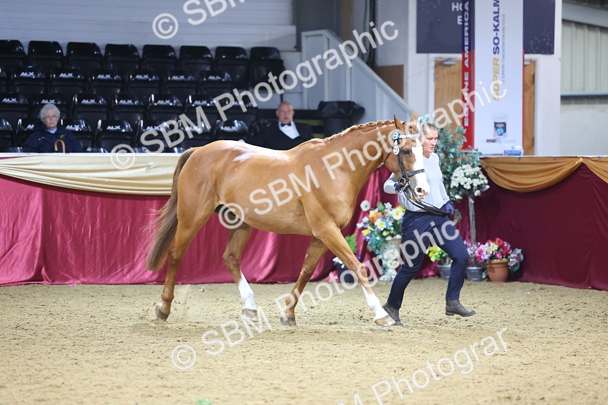 SBM_20993 - Class 902 - Supreme Final IH Veteran