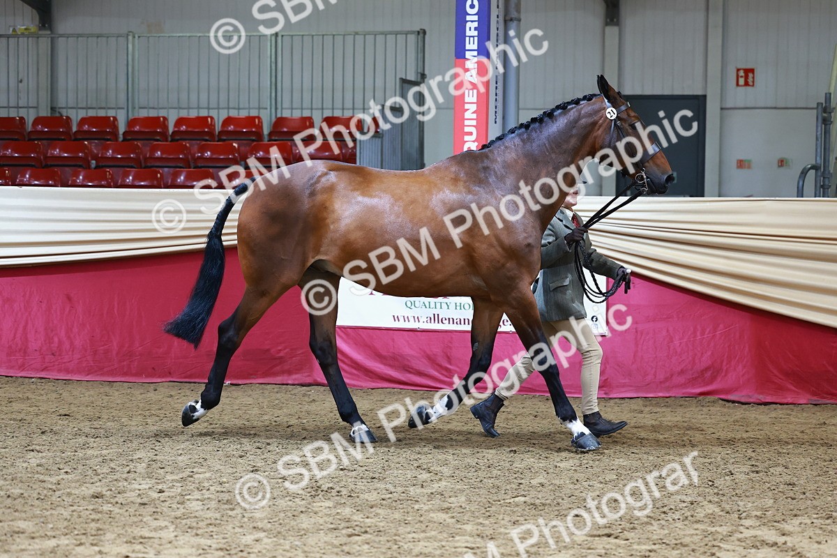 SBM_22285 - Class 902 - Supreme Final - IH Diamond