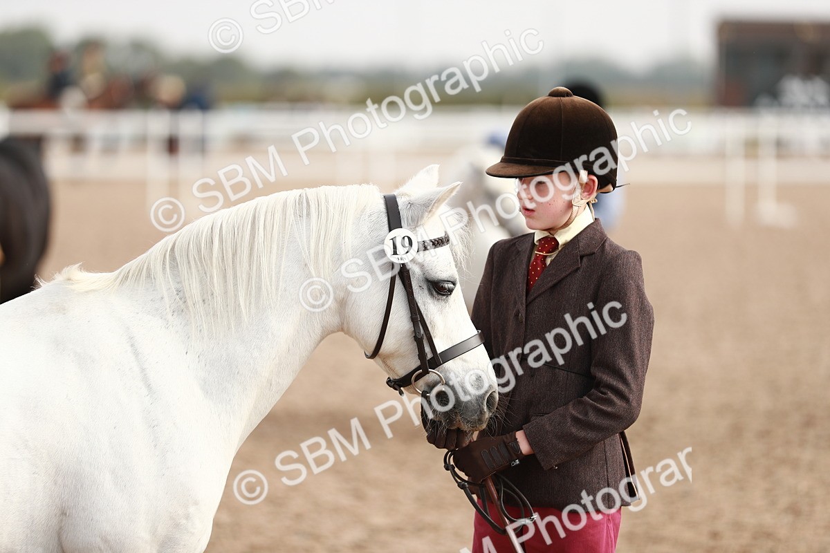 SBM_10559 - Class 204 Young Handler, 11-16 years