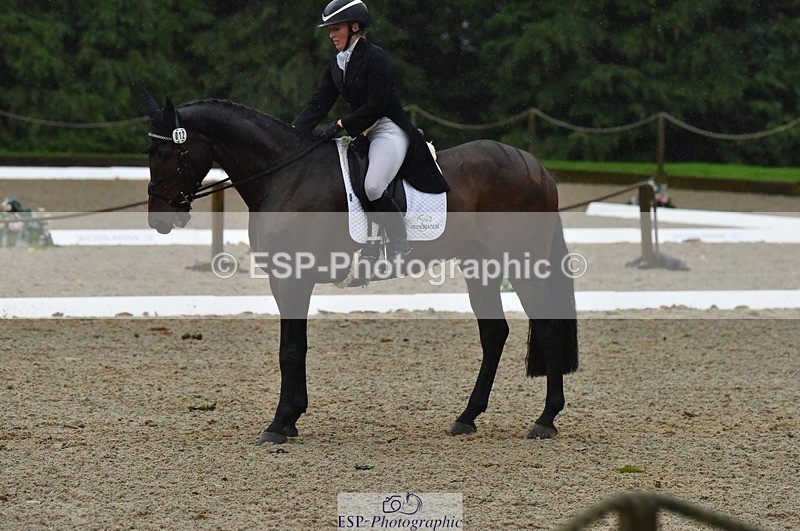 231018-154632-00878 - 012-ROMANY.CRICKET-Nana.Dalton-DR