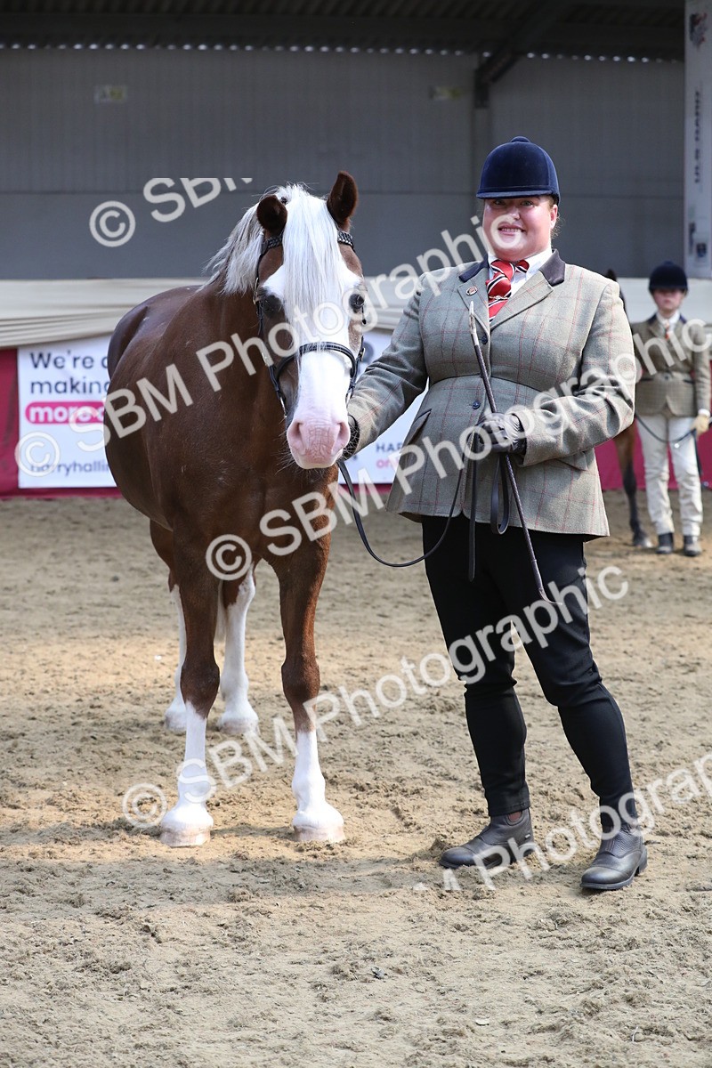 SBM_15337 - Class 501 M&M IH Supreme Final