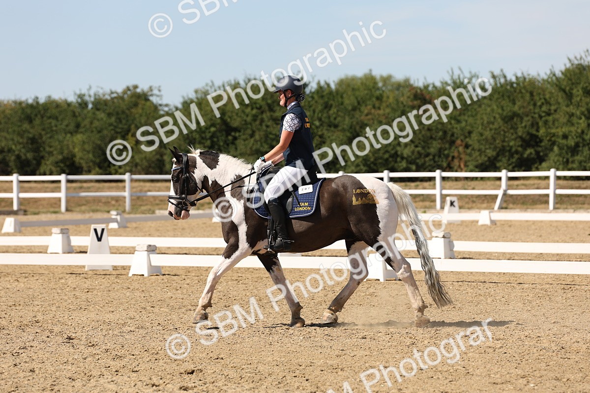 SBM_003688 - Elementary 4