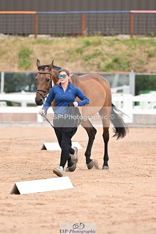 250716-151840-01857 - Trot Up 2.30 to 3.30