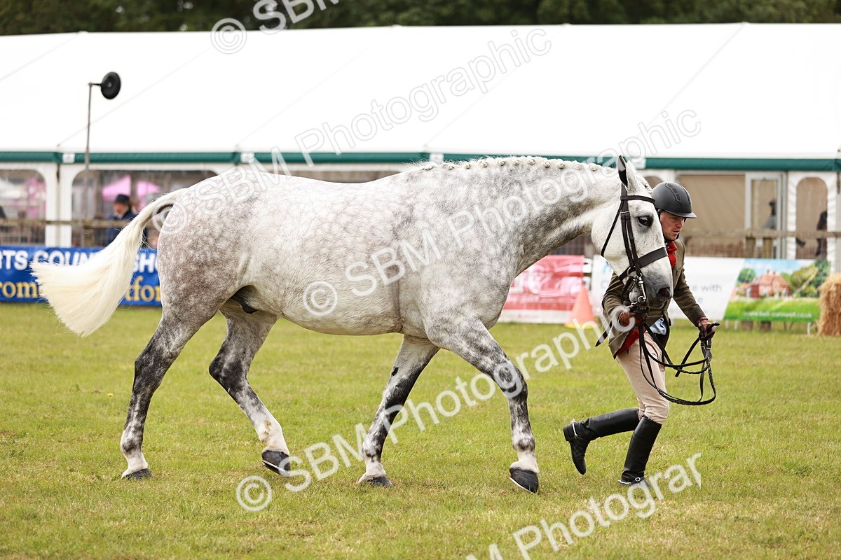 SBM_10949 - Class 81-84 - RIHS Ridden hunters Inc Ladies Hunter