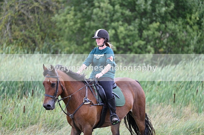 WJ7_6485 - Time 12:15 to 13:21