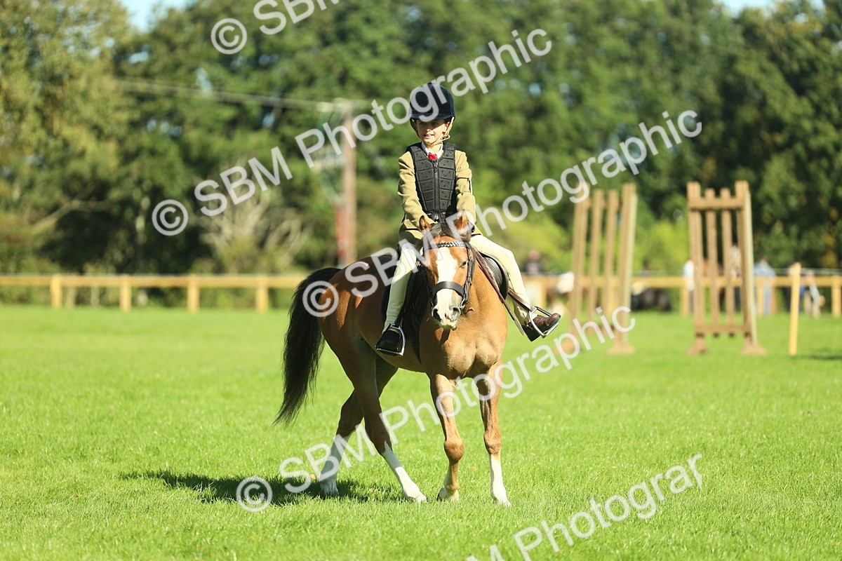SBM_37410 - S29 - Novice & Newcomers Working Hunter Pony