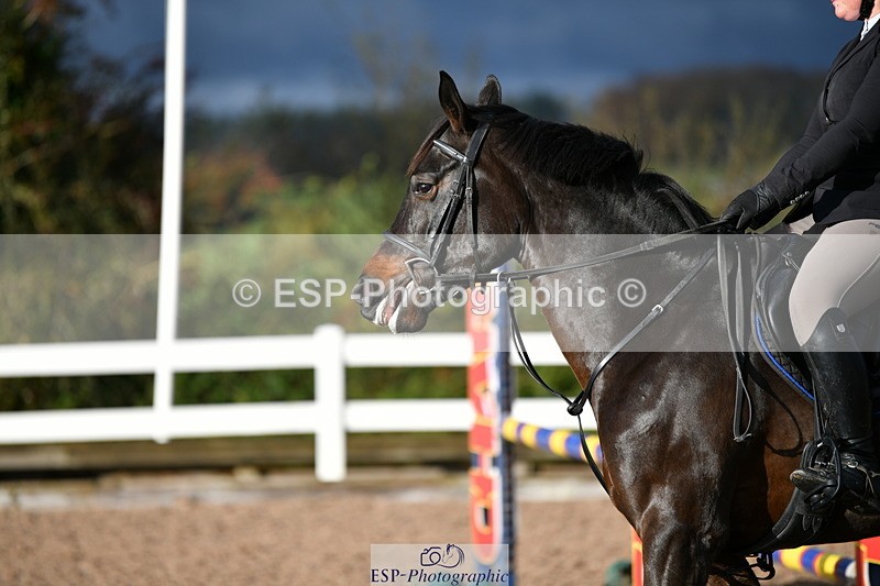 231110A-102754-00061 - Cls 2 British Novice & 90cm Open