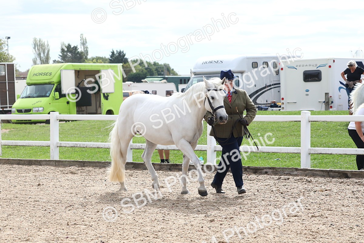 SBM_19067