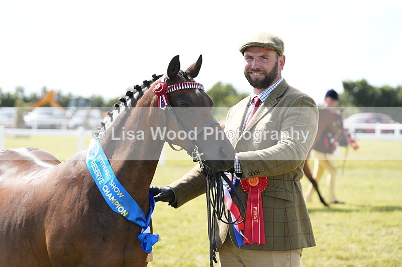 DSC07520 - Pony Breeding Championship
