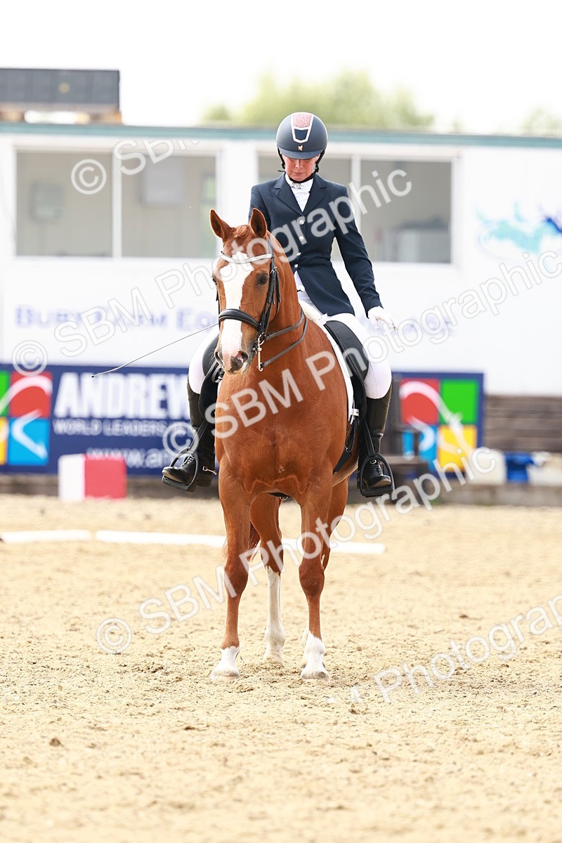 SBM_002841 - Class 12 - Medium 4