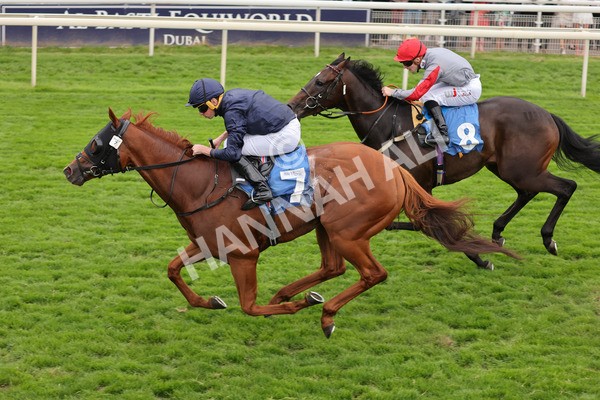 yr20082021r7-31 - Race 7 5.10pm Sky Bet Mile