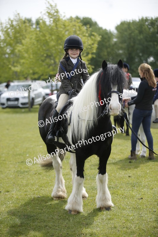20260426-3481 - Class 11 - Best Mane and Tail