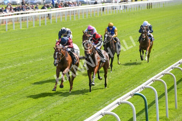 yr12052022r2-21 - Race 2 2.25pm Al Basti Equiworld Dubai Middleton Fillies' Stakes