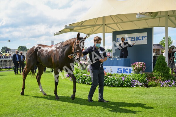 yr11062021r3-59 - Race 3 2.55pm SKF Rous Selling Stakes