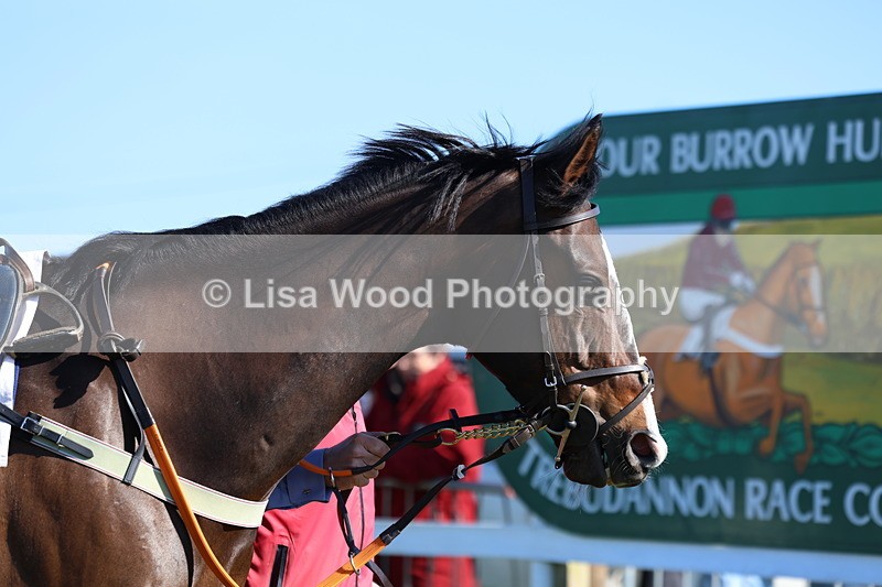 3E7A5596 - Race 6: Maiden (NWFAA)