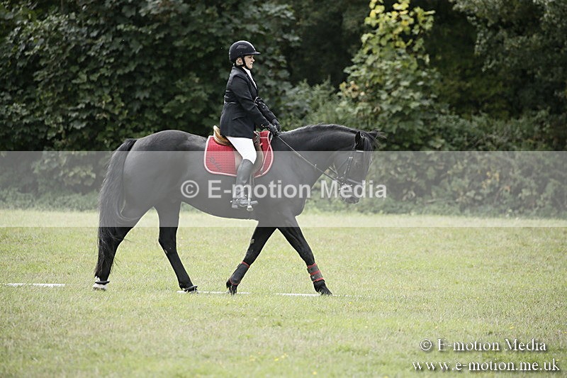 BVR080918 192 - BVRC Novice Dressage & CR 08/09/18