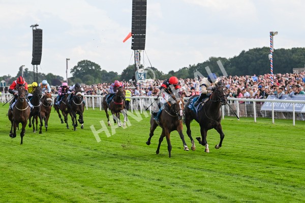 260724-Race 3-Elsies Ruan-4861 - Race 3 6.40pm Ire-Incentive, It Pays To Buy Irish EBF Restricted Novice Stakes