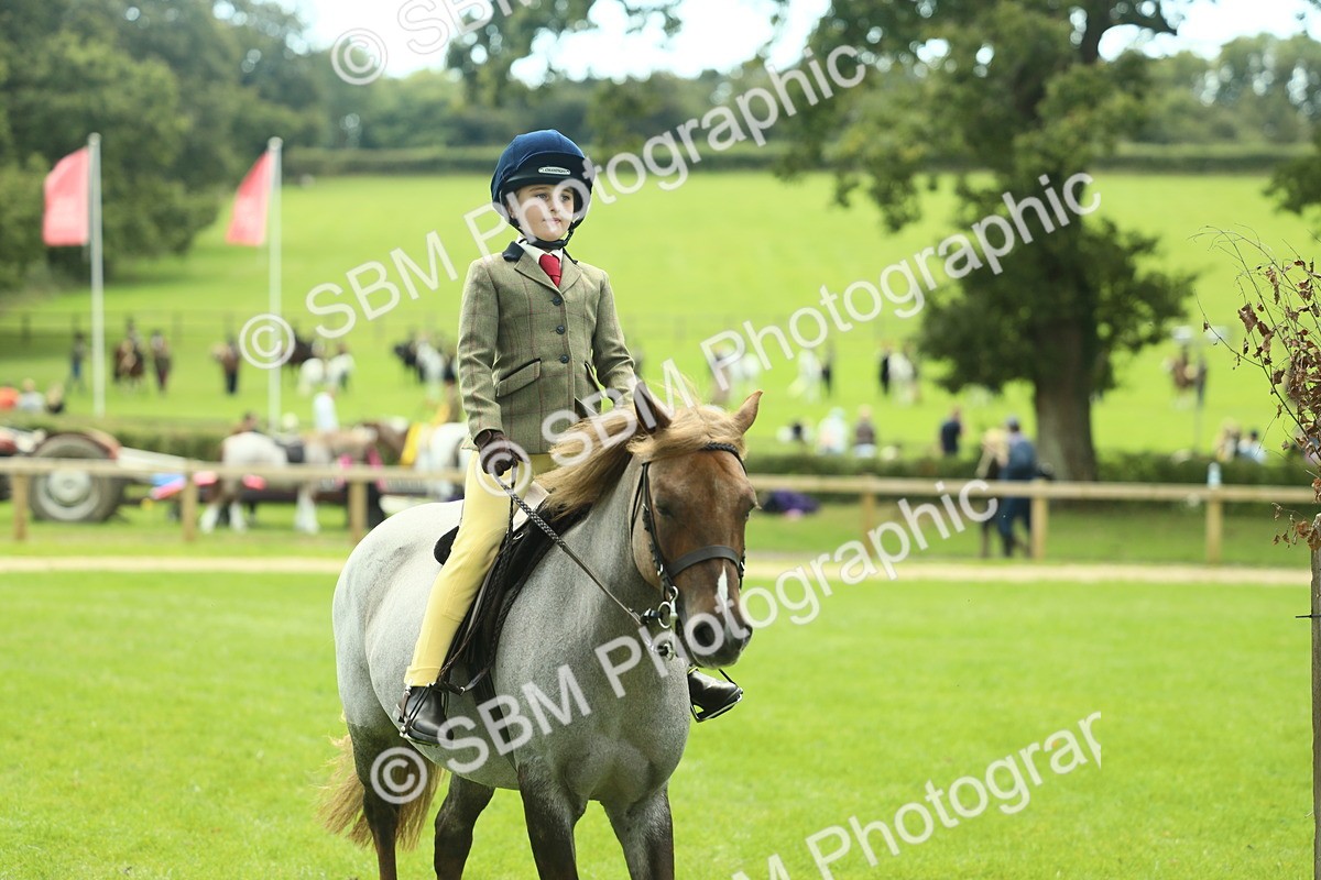 SBM_42760 - S30 - M&M Working hunter Pony