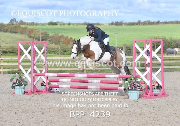 BPP_4239 - CLASS 5 PONY 60CM FINAL