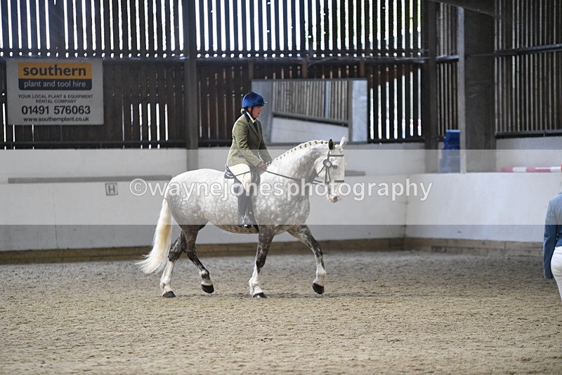 WJ5_8237 - Class 14 Novice Ridden/Rider