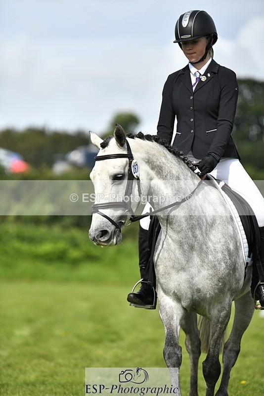 230826-105128-15625 - Sections C & D 10 to End