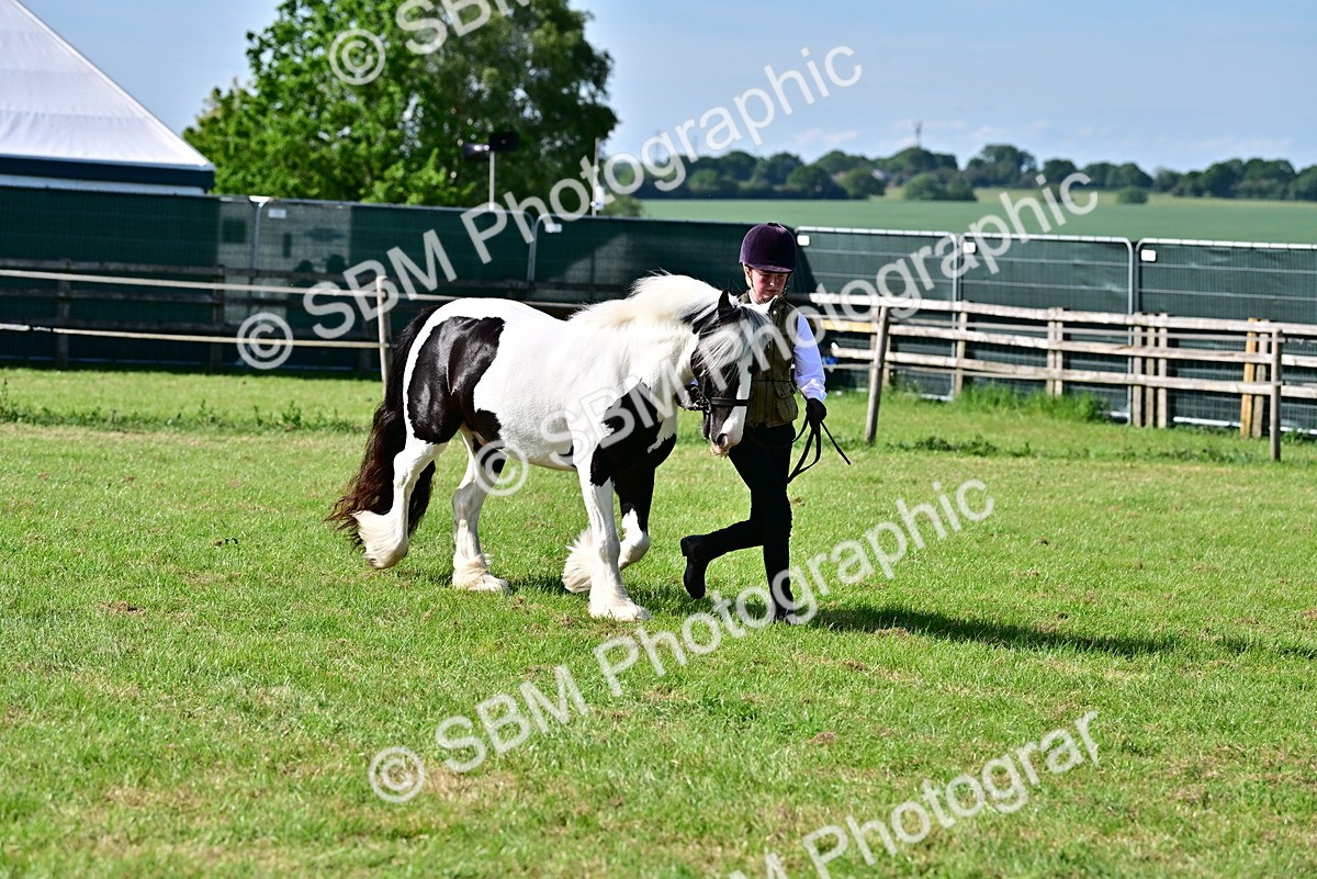 SBM_10108 - Class 63-65 - Traditional Gypsy Cobs In Hand & Ridden