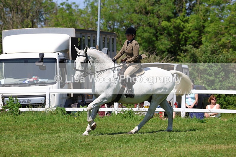 3E7A8336 - Class 13: Ridden Hunter