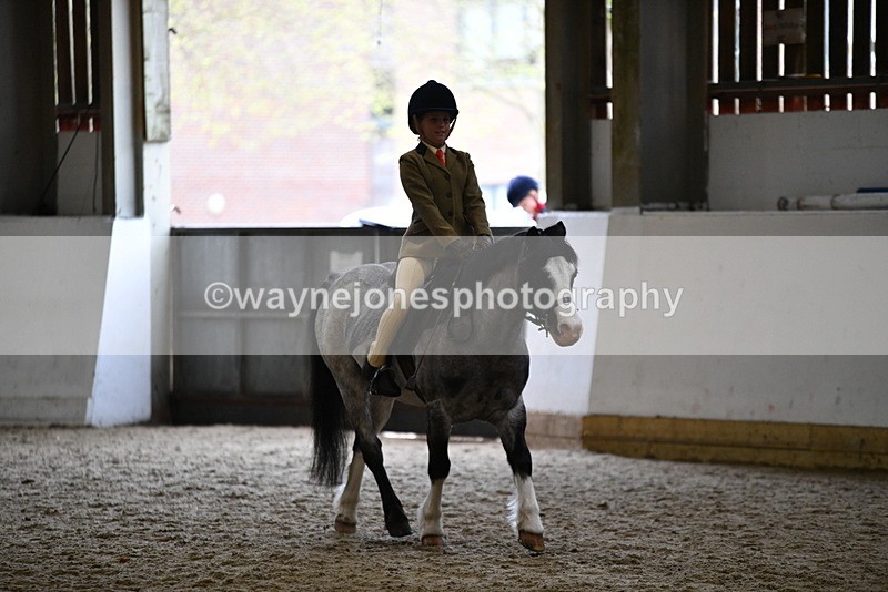 WJ5_6879 - Class 10 Childs Pony
