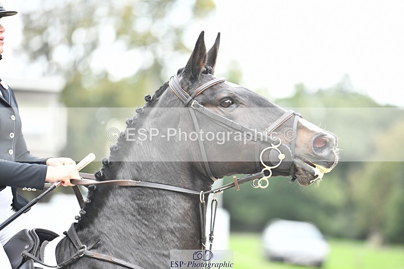 231001-151548-03162 - Cls 3 90cm