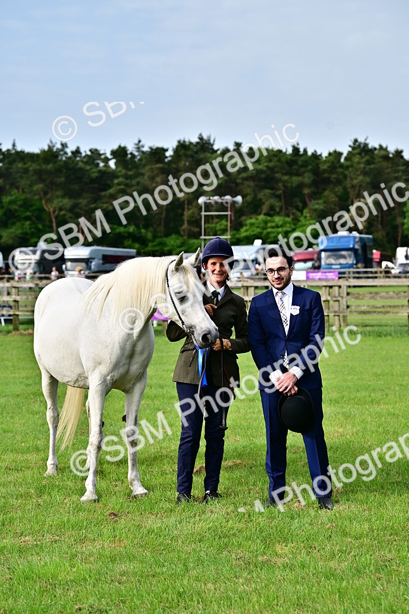 SBM_00045 - Class 46-49 - Arab and Part Bed-Anglo Arab In Hand