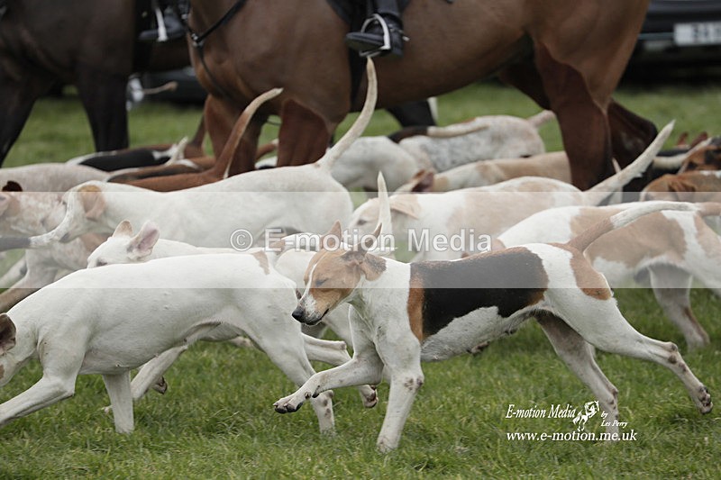 PtP 050323 526 - Blackmore & Sparkford Vale Hunt PtP - Somerset 05/03/23