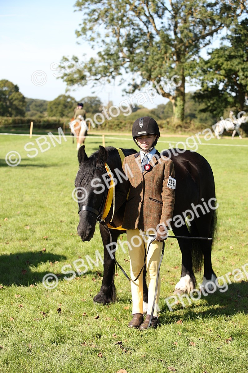 SBM_36688 - S10 - Best In Hand Horse & Pony