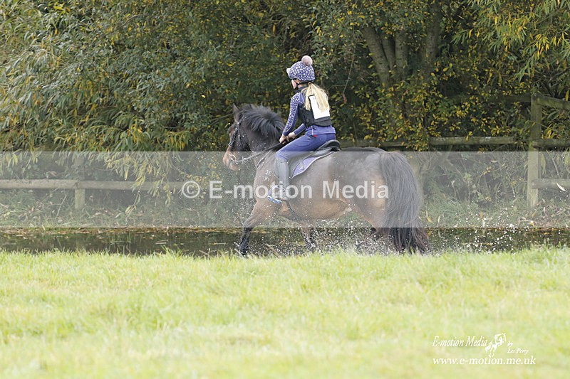  WWHT 171021 0977 - Open Novice (0.80m)  17/10/21