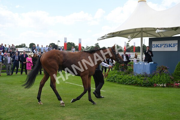 yr10062022r2-63 - Race 2 2.30pm SKF Rous Selling Stakes