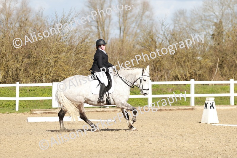 20260314-4495 - DR4 - Prelim 2