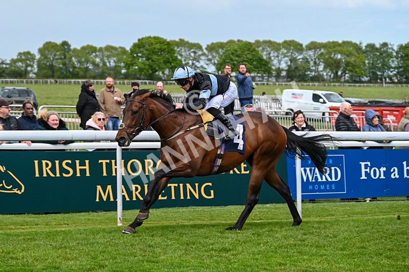 120526-Race 2-Ronson-7532 - Race 2 3.00pm Ire-Incentive, It Pays To Buy Irish