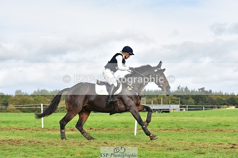 231021-134950-18490 - 464-IMPERIAL.TANGLE-Deborah.Burrell-SC+XC