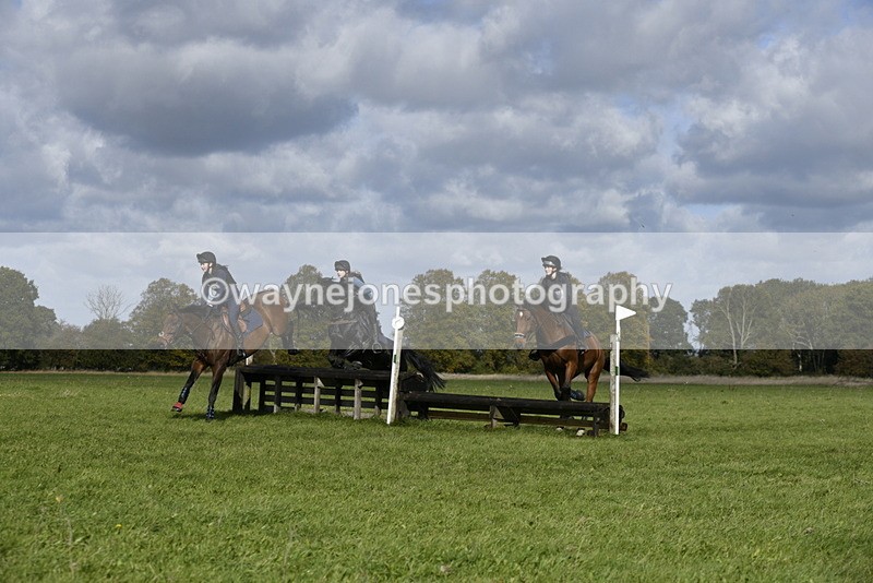 _DSC6803 - Time 11:23 to 12:05