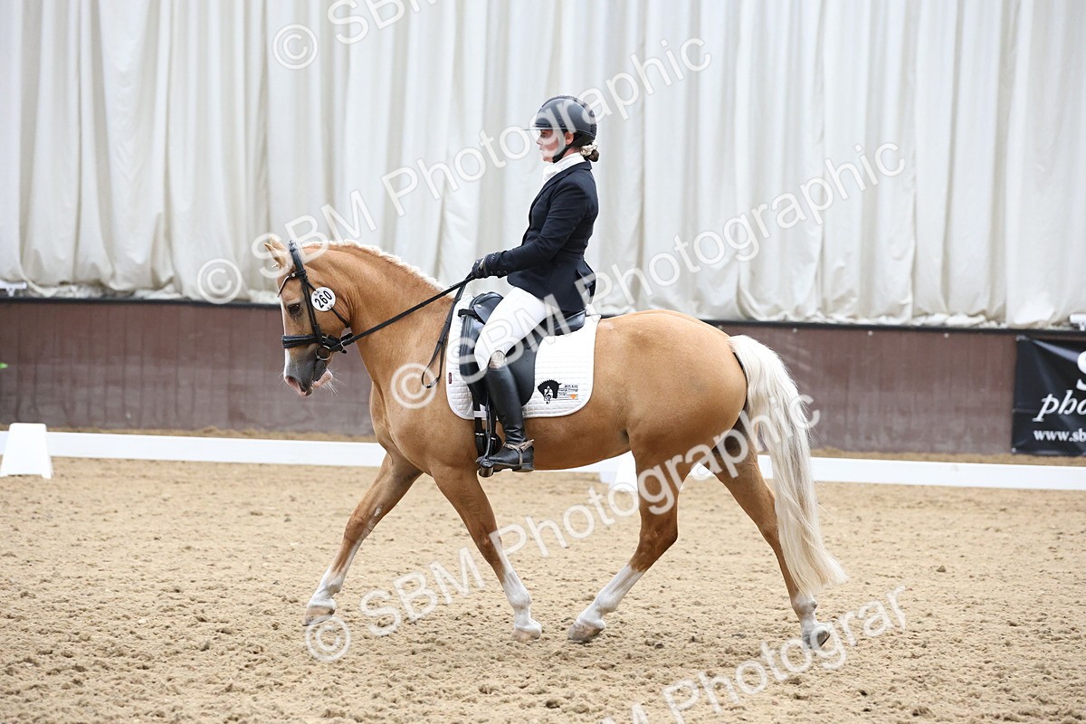 SBM_007556 - Class 23 - Medium FSM Bronze