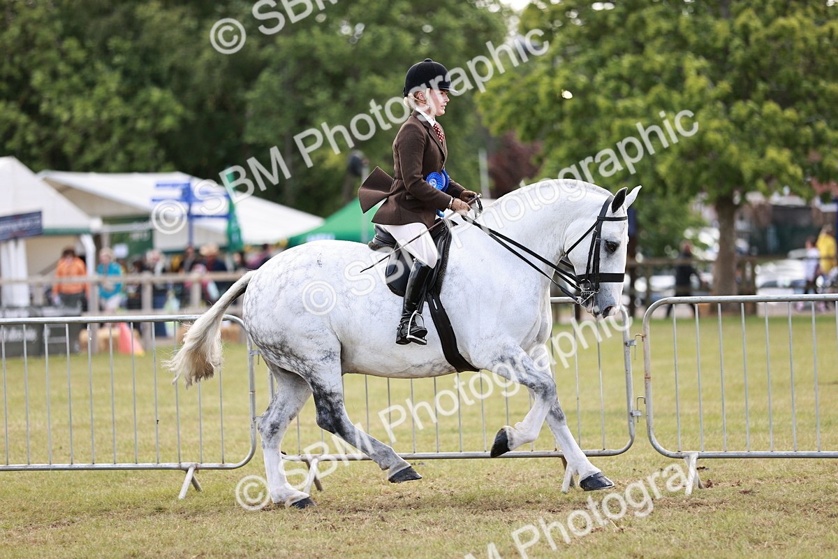 SBM_14126 - Class 85-87 - RIHS Cobs